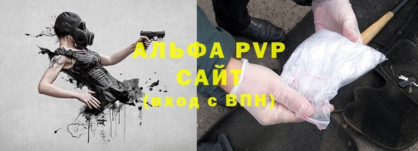 МДПВ Инсар