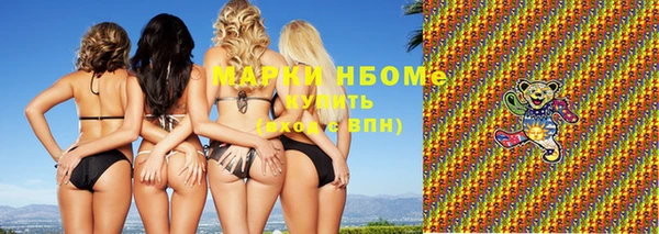 МДПВ Инсар