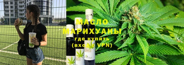 МДПВ Инсар