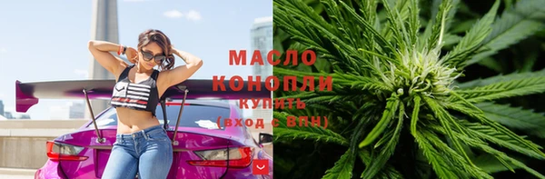 МДПВ Инсар